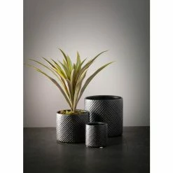 SULLIVANS Black Ceramic Pot -Set of 3 9 SULLIVANS Black Ceramic Pot -Set of 3 -VIGORO Store black sullivans plant pots cm2939 1f 1000