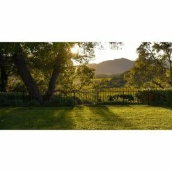 Vigoro Westbrook 36 in. x 48 in. Black Steel Fence Panel (4-Pack) 27 Vigoro Westbrook 36 in. x 48 in. Black Steel Fence Panel (4-Pack) -VIGORO Store black vigoro garden fencing 860329 4pk fa 1000