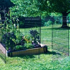 Vigoro 44 in. H x 36 in. W Steel Multi-Purpose No Dig Black Fence Panel (6-Pack) 29 Vigoro 44 in. H x 36 in. W Steel Multi-Purpose No Dig Black Fence Panel (6-Pack) -VIGORO Store black vigoro garden fencing 860411 6pk 31 1000