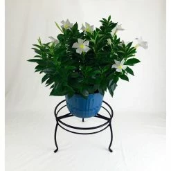 Vigoro 8 in. Black Metal Indoor Plant Stand 9 Vigoro 8 in. Black Metal Indoor Plant Stand -VIGORO Store black vigoro plant stands 51470 c3 1000