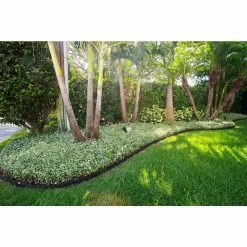 Vigoro EcoBorder 4 ft. Black Rubber Landscape Edging (Single) -VIGORO Store black vigoro rubber edging ecobrd blk 4 ft 76 1000