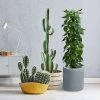 KANTE 15.8 in. W Round Charcoal Concrete/Fiberglass Indoor Outdoor Elegant Planter 2 KANTE 15.8 in. W Round Charcoal Concrete/Fiberglass Indoor Outdoor Elegant Planter -VIGORO Store charcoal kante plant pots osc0119c c60121 64 1000