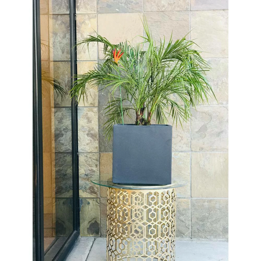 KANTE 12 in. H Square Charcoal Concrete/Fiberglass Indoor Outdoor Elegant Planter 10 KANTE 12 in. H Square Charcoal Concrete/Fiberglass Indoor Outdoor Elegant Planter - Image 8