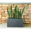KANTE 23 in. L Rectangular Charcoal Concrete/Fiberglass Indoor Outdoor Elegant Planter -VIGORO Store charcoal kante plant pots osf0104a c60121 64 1000