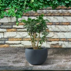 KANTE 8 in. H Charcoal Concrete and Fiberglass Round Bowl Planter, Outdoor Indoor Large Planters Pots with Drainage -VIGORO Store charcoal kante plant pots rc0049a c60121 1f 1000