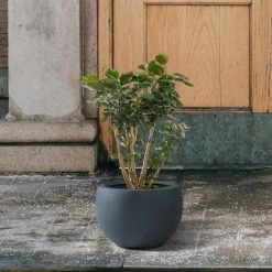 KANTE 8 in. H Charcoal Concrete and Fiberglass Round Bowl Planter, Outdoor Indoor Large Planters Pots with Drainage -VIGORO Store charcoal kante plant pots rc0049a c60121 4f 1000
