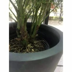 KANTE Medium 10 in. Tall Charcoal Lightweight Concrete Round Outdoor Bowl Planter -VIGORO Store charcoal kante plant pots rc0051c c60121 44 1000