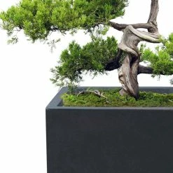 KANTE 31.4" & 23.6"L Rectangular Charcoal Finish Lightweight Concrete Long Planters w/Drainage Hole Set of 2, Outdoor/Indoor -VIGORO Store charcoal kante plant pots rf0264ac c60121 4f 1000