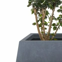 KANTE 21.2 in. and 16.1 in. W Square Charcoal Finish Lightweight Concrete/Fiberglass Planters with Drainage Holes (Set of 2) 11 KANTE 21.2 in. and 16.1 in. W Square Charcoal Finish Lightweight Concrete/Fiberglass Planters with Drainage Holes (Set of 2) -VIGORO Store charcoal kante plant pots rf2015018ab c60121 4f 1000