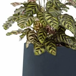 KANTE 10.63 in. x 13.78 in. Round Charcoal Lightweight Concrete and Weather Resistant Fiberglass Planter w/Drainage Hole 14 KANTE 10.63 in. x 13.78 in. Round Charcoal Lightweight Concrete and Weather Resistant Fiberglass Planter w/Drainage Hole -VIGORO Store charcoal kante plant pots rf2015023c c60121 1f 1000