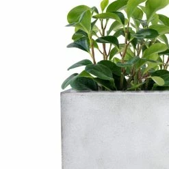KANTE 31" and 23"L Rectangular Large Concrete Long Box Planters Set of 2, Outdoor/Indoor Strong UV Resistant w/Drainage Holes -VIGORO Store concrete kante plant pots rf0104ab c81921 76 1000