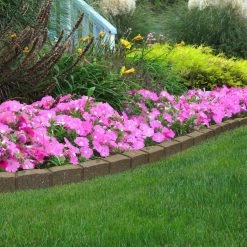 Vigoro Roman Stone 48 in. Rubber Garden Edging Earth (Pack of 2) 13 Vigoro Roman Stone 48 in. Rubber Garden Edging Earth (Pack of 2) -VIGORO Store earth vigoro rubber edging mt5001789cm 31 1000