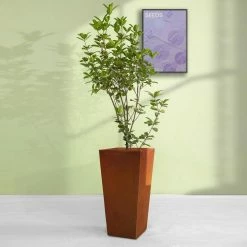KANTE 24.4 in. H Rectangle Faux Weathering Steel Lightweight Concrete Tapered Tall Planter with Drainage Hole, Outdoor/Indoor -VIGORO Store faux weathering steel kante plant pots rf0004c c91942 76 1000