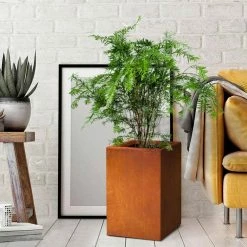 KANTE 16 in. H Faux Weathering Steel Finish Concrete Square, Modern Outdoor/Indoor Lightweight Planter Pot with Drainage Hole -VIGORO Store faux weathering steel kante plant pots rf0007b c91942 76 1000