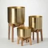 SULLIVANS Brass Planter On Stands - Set of 3 1 SULLIVANS Brass Planter On Stands - Set of 3 -VIGORO Store gold sullivans plant pots n2714 64 1000