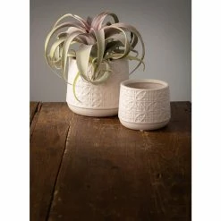 Vigoro sales Store -VIGORO Store gray sullivans plant pots cm2943 c3 1000