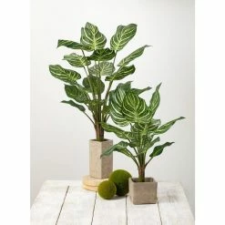 SULLIVANS Gray Cement Square Planter -VIGORO Store gray sullivans plant pots cmt1090 4f 1000