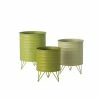 SULLIVANS Green Metal Planters (Set of 3) 2 SULLIVANS Green Metal Planters (Set of 3) -VIGORO Store green sullivans plant pots met1510 64 1000