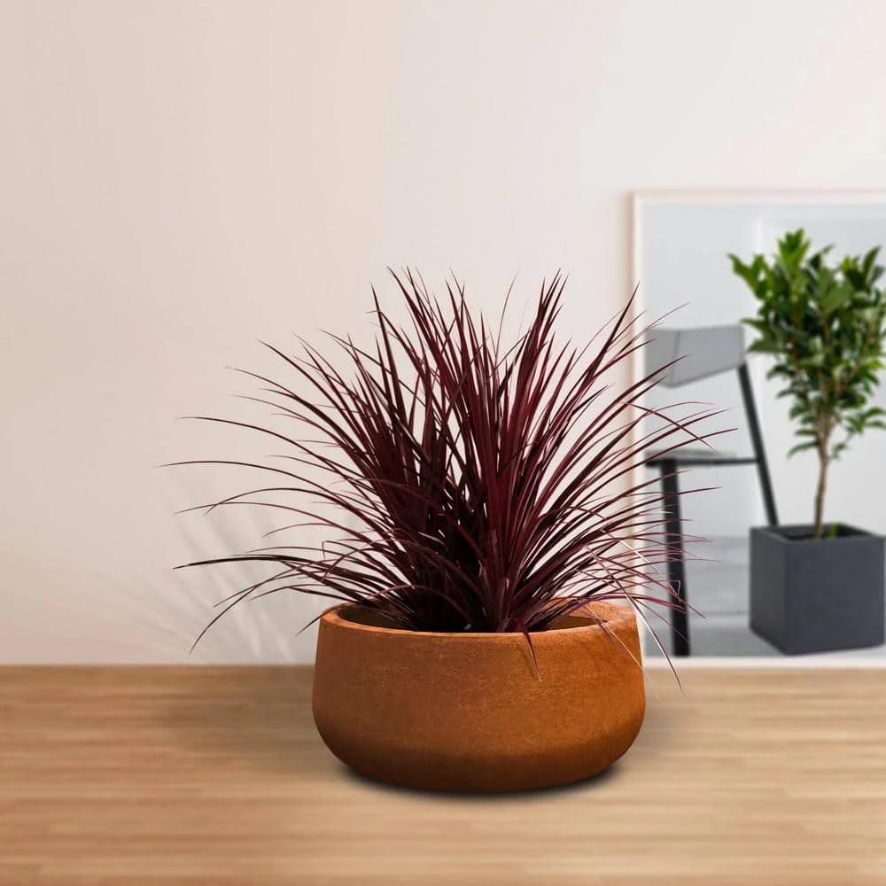 KANTE 16 in. Dia. Round Iron Oxide Concrete Bowl Planter, Outdoor Indoor Large Planter Pot with Drainage Hole 7 KANTE 16 in. Dia. Round Iron Oxide Concrete Bowl Planter, Outdoor Indoor Large Planter Pot with Drainage Hole - Image 5