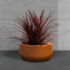 KANTE 16 in. Dia. Round Iron Oxide Concrete Bowl Planter, Outdoor Indoor Large Planter Pot with Drainage Hole 16 KANTE 16 in. Dia. Round Iron Oxide Concrete Bowl Planter, Outdoor Indoor Large Planter Pot with Drainage Hole -VIGORO Store iron oxide kante plant pots rc0051b c80621 44 1000