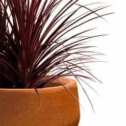 KANTE 16 in. Dia. Round Iron Oxide Concrete Bowl Planter, Outdoor Indoor Large Planter Pot with Drainage Hole 17 KANTE 16 in. Dia. Round Iron Oxide Concrete Bowl Planter, Outdoor Indoor Large Planter Pot with Drainage Hole -VIGORO Store iron oxide kante plant pots rc0051b c80621 fa 1000