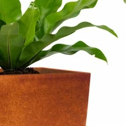 KANTE 28 in. H Iron Oxide Lightweight Concrete Tapered Planter with Drainage Hole, Large Outdoor/Indoor Tall Square Planter 17 KANTE 28 in. H Iron Oxide Lightweight Concrete Tapered Planter with Drainage Hole, Large Outdoor/Indoor Tall Square Planter -VIGORO Store iron oxide kante plant pots rf0229a s c80621 31 1000