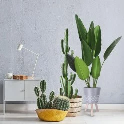 KANTE 17.4 in. Tall Light Gray Lightweight Concrete Classic Outdoor/Indoor Cylindrical Planter with 3 Wooden Legs -VIGORO Store light gray kante plant pots 18h231 ct 1f 1000