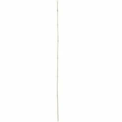 Vigoro 5 ft. Natural Bamboo Stake 14 Vigoro 5 ft. Natural Bamboo Stake -VIGORO Store natural bamboo beige vigoro tomato cages bb5vg 1f 1000