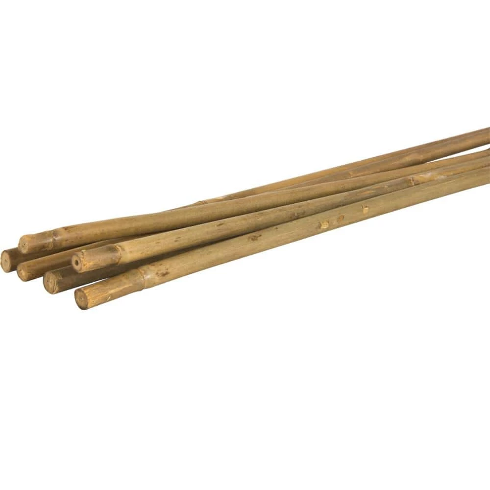 Vigoro 5 ft. Natural Bamboo Stake 6 Vigoro 5 ft. Natural Bamboo Stake - Image 4