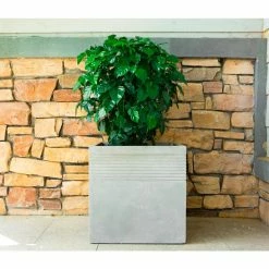 KANTE 15 in. W Square Natural Concrete/Fiberglass Indoor Outdoor Elegant Planter 20 KANTE 15 in. W Square Natural Concrete/Fiberglass Indoor Outdoor Elegant Planter -VIGORO Store natural concrete kante plant pots osf0128b c80021 76 1000