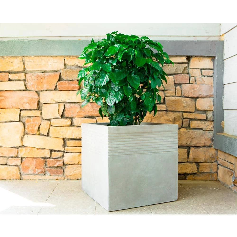 KANTE 15 in. W Square Natural Concrete/Fiberglass Indoor Outdoor Elegant Planter 10 KANTE 15 in. W Square Natural Concrete/Fiberglass Indoor Outdoor Elegant Planter - Image 8