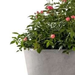 KANTE Large, Medium, Small Round Natural Finish Lightweight Concrete and Weather Resistant Fiberglass Planters (Set of 3) 14 KANTE Large, Medium, Small Round Natural Finish Lightweight Concrete and Weather Resistant Fiberglass Planters (Set of 3) -VIGORO Store natural concrete kante plant pots rc0154bcd c80021 1f 1000