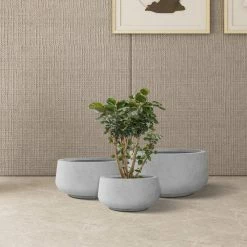 KANTE 21.6", 16.9", and 12.5"W Round Natural Concrete Elegant Planters, Set of 3 Outdoor Indoor Seamless w/ Drainage Hole 13 KANTE 21.6", 16.9", and 12.5"W Round Natural Concrete Elegant Planters, Set of 3 Outdoor Indoor Seamless w/ Drainage Hole -VIGORO Store natural concrete kante plant pots rf2015021abc c80021 4f 1000