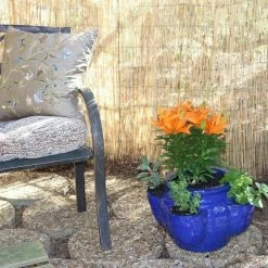 Vigoro 6 ft. H x 16 ft. W Natural Reed Garden Fencing Roll -VIGORO Store natural vigoro garden fencing 0406164 44 1000