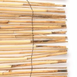 Vigoro 4 ft. H x 8 ft. W Natural Peeled and Polished Reed Fencing 11 Vigoro 4 ft. H x 8 ft. W Natural Peeled and Polished Reed Fencing -VIGORO Store natural vigoro garden fencing 4477301 4f 1000