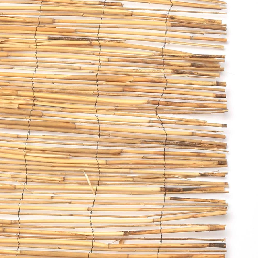 Vigoro 4 ft. H x 8 ft. W Natural Peeled and Polished Reed Fencing 8 Vigoro 4 ft. H x 8 ft. W Natural Peeled and Polished Reed Fencing - Image 6