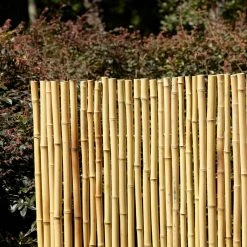 Vigoro 4 ft. H x 6 ft. W Natural Bamboo Fence -VIGORO Store natural vigoro garden fencing 4477405 44 1000