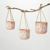 SULLIVANS Terracotta Herb Hanging Ceramic Planters - Set of 3 1 SULLIVANS Terracotta Herb Hanging Ceramic Planters - Set of 3 -VIGORO Store orange sullivans plant pots cm3008 64 1000