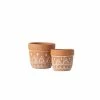 SULLIVANS Orange Cement Planter (Set of 2) 2 SULLIVANS Orange Cement Planter (Set of 2) -VIGORO Store orange sullivans plant pots cmt1180 64 1000