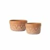SULLIVANS Orange Cement Dish Garden Pot (Set of 2) 1 SULLIVANS Orange Cement Dish Garden Pot (Set of 2) -VIGORO Store orange sullivans plant pots cmt1181 64 1000