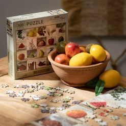 SULLIVANS Adobe Cement Dish Planter - Set of 3 10 SULLIVANS Adobe Cement Dish Planter - Set of 3 -VIGORO Store orange sullivans plant pots cmt1218 1f 1000