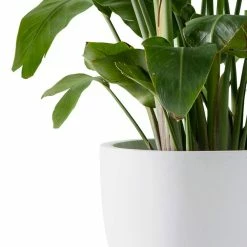 KANTE 13.39 in. x 12.6 in. Round Pure White Lightweight Concrete and Fiberglass Indoor Outdoor Planter with Drainage Hole 12 KANTE 13.39 in. x 12.6 in. Round Pure White Lightweight Concrete and Fiberglass Indoor Outdoor Planter with Drainage Hole -VIGORO Store pure white kante plant pots rc0152b c80011 1f 1000