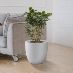 KANTE 13.39 in. x 12.6 in. Round Pure White Lightweight Concrete and Fiberglass Indoor Outdoor Planter with Drainage Hole 13 KANTE 13.39 in. x 12.6 in. Round Pure White Lightweight Concrete and Fiberglass Indoor Outdoor Planter with Drainage Hole -VIGORO Store pure white kante plant pots rc0152b c80011 44 1000