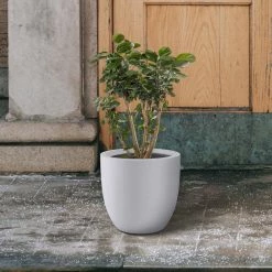 KANTE 13.39 in. x 12.6 in. Round Pure White Lightweight Concrete and Fiberglass Indoor Outdoor Planter with Drainage Hole 14 KANTE 13.39 in. x 12.6 in. Round Pure White Lightweight Concrete and Fiberglass Indoor Outdoor Planter with Drainage Hole -VIGORO Store pure white kante plant pots rc0152b c80011 fa 1000