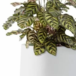 KANTE 17.3 in. H Round Pure White Concrete Planter, Outdoor Indoor Large Planter Pots Containers with Drainage Holes 15 KANTE 17.3 in. H Round Pure White Concrete Planter, Outdoor Indoor Large Planter Pots Containers with Drainage Holes -VIGORO Store pure white kante plant pots rf2015022b c80011 4f 1000