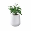 KANTE 17.3 in. H Round Pure White Concrete Planter, Outdoor Indoor Large Planter Pots Containers with Drainage Holes 1 KANTE 17.3 in. H Round Pure White Concrete Planter, Outdoor Indoor Large Planter Pots Containers with Drainage Holes -VIGORO Store pure white kante plant pots rf2015022b c80011 64 1000