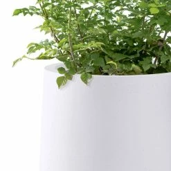 KANTE 13.4 in. H Pure White Tuliped Round Concrete Planter, Outdoor Indoor Large Planter Pots, Containers with Drainage Holes -VIGORO Store pure white kante plant pots rf2015022c c80011 44 1000