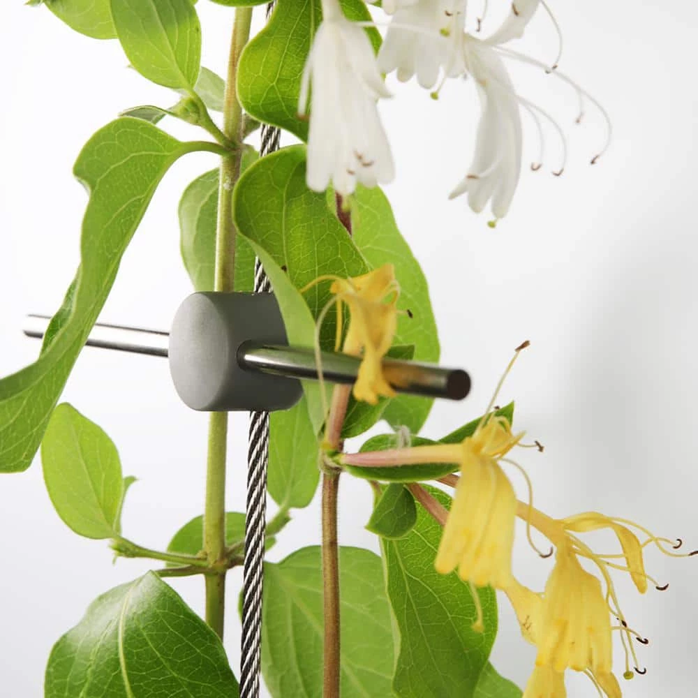 Vigoro 8 ft. Stainless Steel Wire Rope Plant Trellis 4 Vigoro 8 ft. Stainless Steel Wire Rope Plant Trellis - Image 2