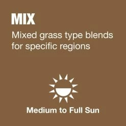 Vigoro 3 lbs. Fast Grass Seed Mix -VIGORO Store vigoro grass seed 25102 a0 1000