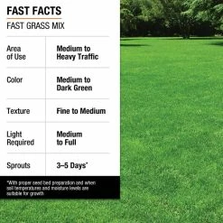 Vigoro 3 lbs. Fast Grass Seed Mix -VIGORO Store vigoro grass seed 25102 fa 1000